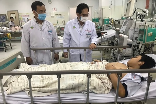 Vụ cây phượng bật gốc ở TP HCM: 2 học sinh chấn thương nặng phải phẫu thuật