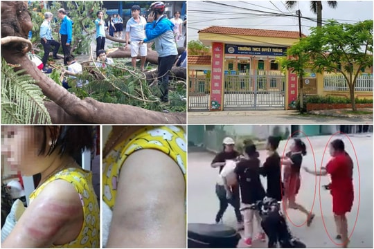 Giáo dục tuần qua: Cây phượng đổ trong sân trường, Cô giáo đánh học sinh tím người