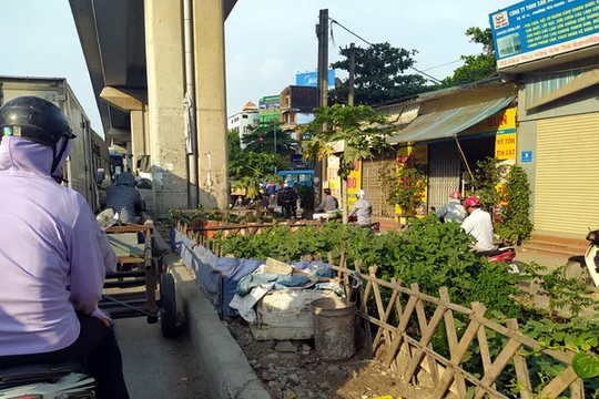 Ảnh: Người dân trồng rau, nuôi gà ngay dưới chân đường sắt Cát Linh - Hà Đông
