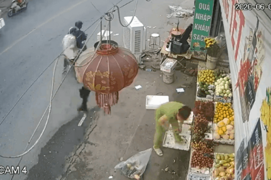 Clip: Màn "câu" chó manh động khiến dân mạng kinh ngạc, bức xúc