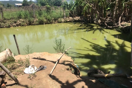 Kéo điện ra ao bắt cá, hai cha con bị điện giật tử vong