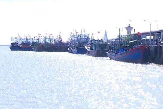 Tàu cá ngư dân bị đâm chìm, 1 người tử vong, 4 người mất tích