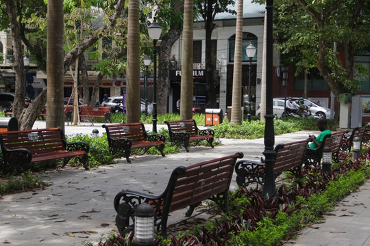 Ảnh: Cận cảnh vườn hoa kiểu mẫu hơn 5 tỷ đồng ở trung tâm Hà Nội