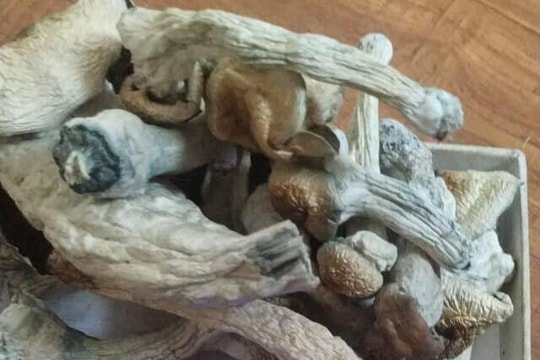 Nâm thức thần và nhiều loại ma túy mới đầu độc giới trẻ Thủ đô