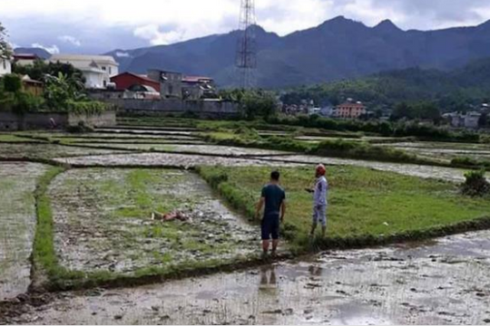 Thảm án kinh hoàng ở Điện Biên, 3 người tử vong