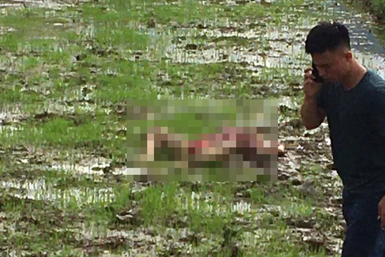 Triệu tập 9 người liên quan thảm án 3 người tử vong ở Điện Biên