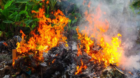 Đốt rác trong vườn nhà, cụ bà chết cháy thương tâm