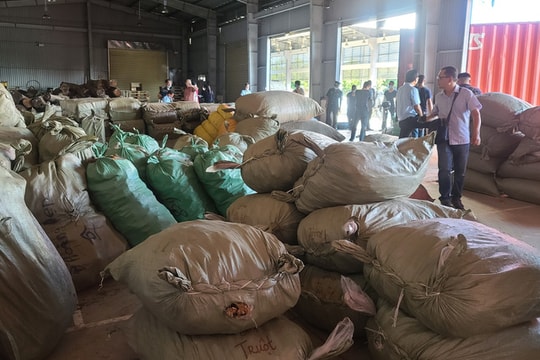 Phát hiện khoảng 100 tấn dược liệu Trung Quốc gắn mác thực phẩm tuồn vào Việt Nam