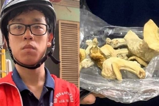 Khởi tố nam sinh viên trồng 'nấm thức thần' để bán