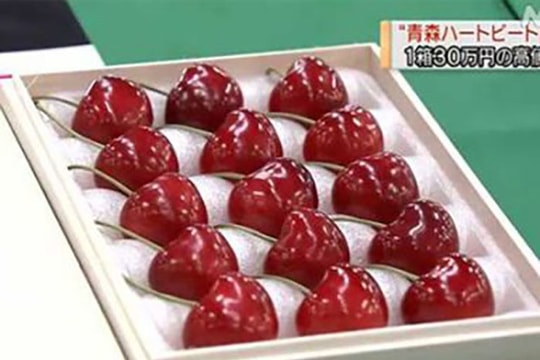 Cherry Nhật đắt kỷ lục, về Việt Nam giá 6,6 triệu đồng/kg