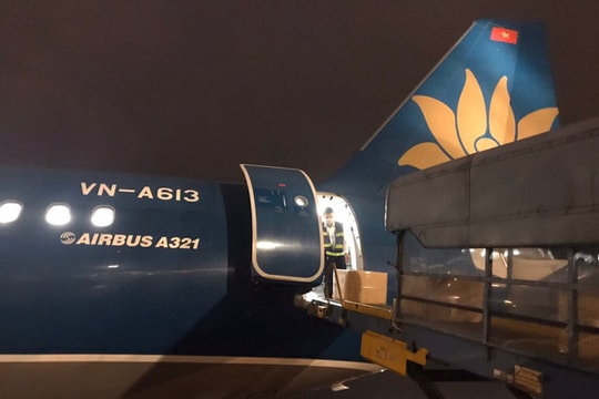 Đưa gần 300 công dân Việt từ nhiều vùng ở Nga về nước