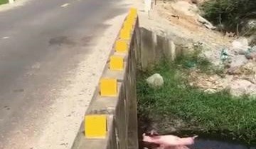 Phát hiện thi thể nữ sinh lớp 11 dưới mương nước sau một ngày mất tích