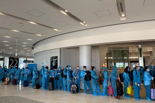 Đưa 350 công dân Việt Nam tại Nhật Bản về nước an toàn