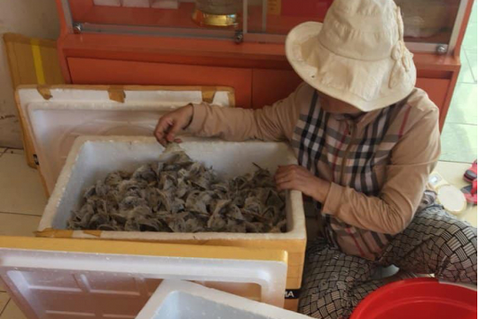 Tổ yến bốc hơi cả chục triệu/ký, dân nuôi chim tiền tỷ lo ngay ngáy