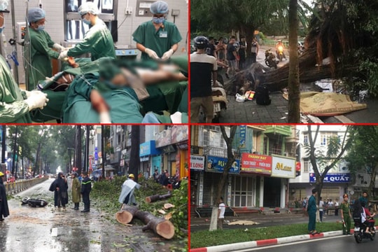 Nhiều vụ cây xanh gãy, đổ gây chết người ở Hà Nội và TP. HCM 