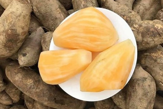 Hà Nội: Chị em mê tít đặc sản Lào Cai giá rẻ như khoai