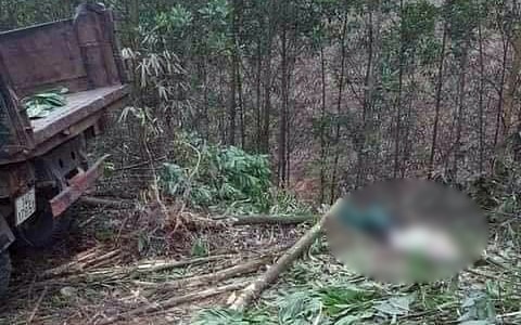 Tin TNGT ngày 20/11: Xe tải chở gỗ mất phanh trôi về phía sau khiến 2 người phụ nữ tử vong