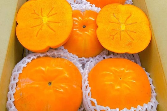 Hồng Nhật khổng lồ thơm mùi sữa, 1 triệu đồng/quả vẫn 'cháy hàng'