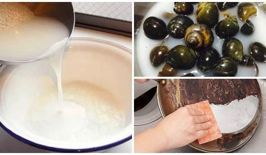 Những công dụng tuyệt vời của nước vo gạo ít người quan tâm
