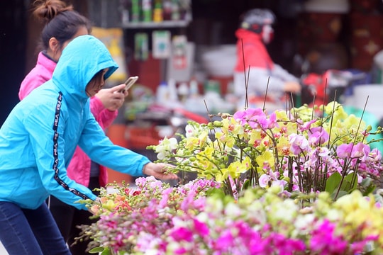 Hà Nội: Người dân nườm nượp mua sắm Tết sớm tại chợ hoa Vạn Phúc