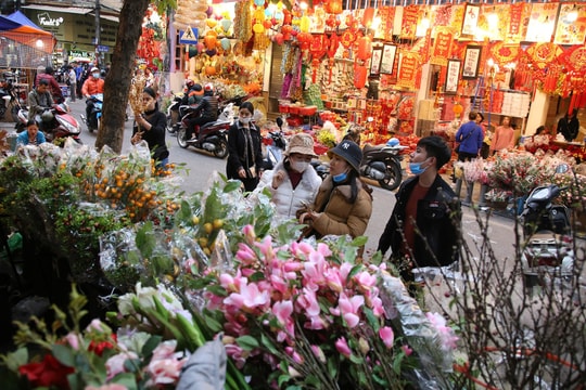 Chợ hoa Hàng Lược bắt đầu khoe sắc đón người dân sắm Tết