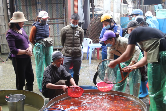 Hà Nội: Chợ cá phục vụ Tết ông Công, ông Táo diễn ra như thế nào trong dịch COVID-19?