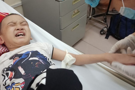 Bé trai 8 tuổi bị ung thư máu mong một cái Tết trọn vẹn