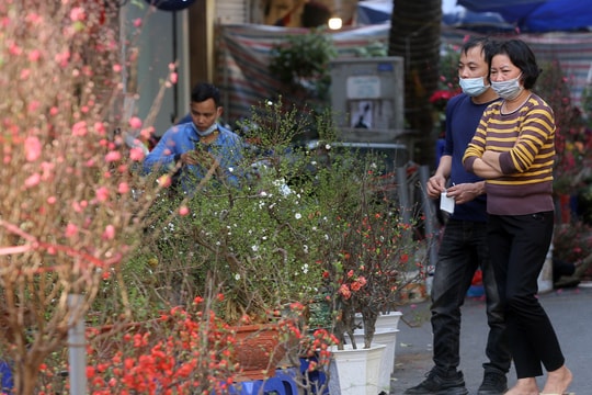 Hà Nội: Chợ hoa cổ Hàng Lược đìu hiu vì COVID-19