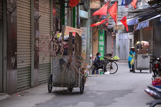 Sau Tết, công nhân vệ sinh môi trường vất vả thu gom đào, quất bị vứt đầy đường