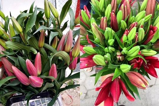 Hoa tươi giá rẻ như rau, chị em rủ nhau ‘giải cứu’ cho dân làng