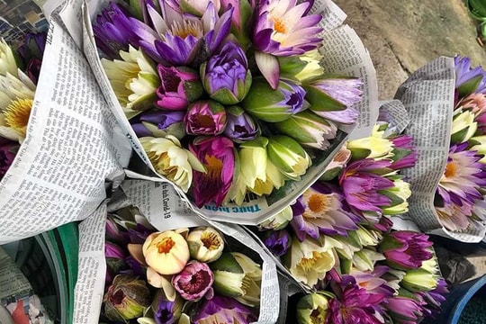 Chị em đua mốt chơi mới, hoa dại mọc hoang nay trở nên đắt đỏ