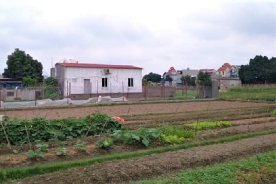 Sát hại vợ và con gái 7 tuổi, gã chồng trầm cảm có thể nhận hình phạt nào?