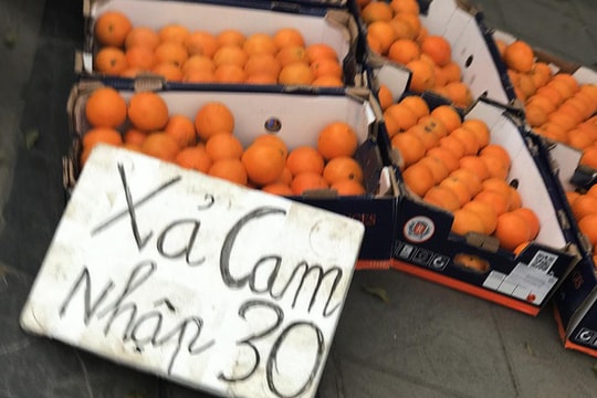 Cam Úc giá siêu rẻ bán dọc vỉa hè, tiểu thương tiết lộ sự thật