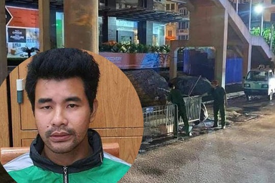 Kẻ tâm thần sát hại nữ công nhân môi trường tại Hà Nội sẽ đối diện mức án nào? 