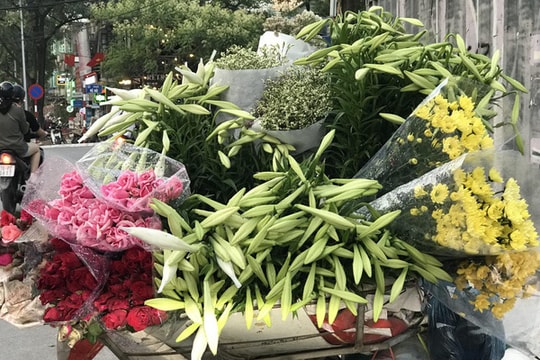 "Nữ hoàng tháng 4" ồ ạt xuống phố, tiểu thương lãi tiền triệu mỗi ngày