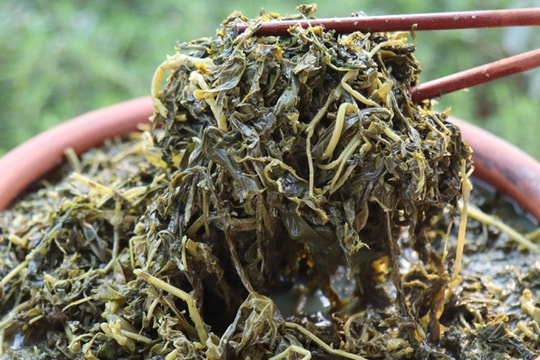 "Thượng đế" săn lùng món dưa nhà nghèo ở Phú Thọ