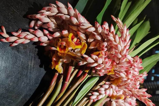 Hoa dại bờ bụi siêu đắt đỏ, mối buôn bán 2.000 cành/ngày