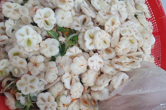 Đặc sản nộm măng cụt xanh, bay ra Hà Nội giá chát vẫn tranh nhau mua