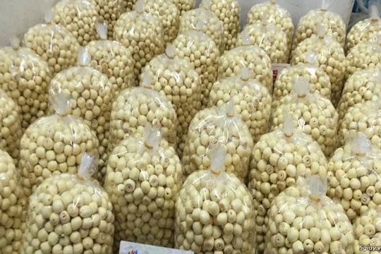 "Cơn sốt" hạt sen đầu hè, nhập cả tạ vẫn không đủ hàng trả khách
