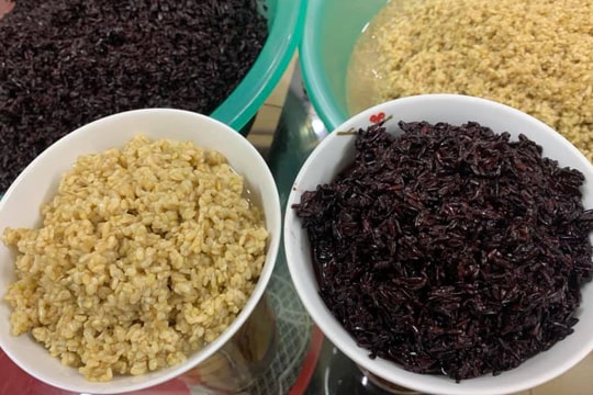 Đam mê ủ cơm rượu, chỉ 4 ngày cô nàng công sở bỏ túi chục triệu