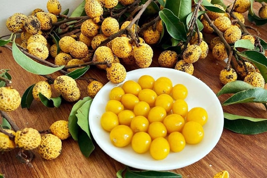 Nhãn rừng mọc trên núi đá, muốn ăn đặt trước cả tuần may ra mới có