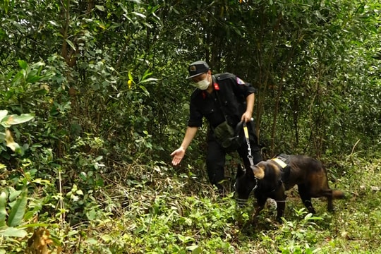 Khởi tố, truy nã gã con rể nghi sát hại mẹ vợ rồi bỏ trốn