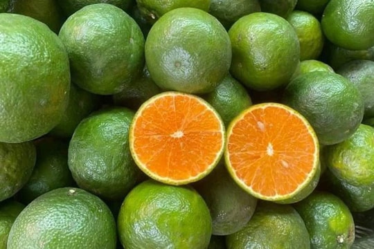 Cam sành vắt nước, món bình dân bỗng thành hàng hot Sài Thành