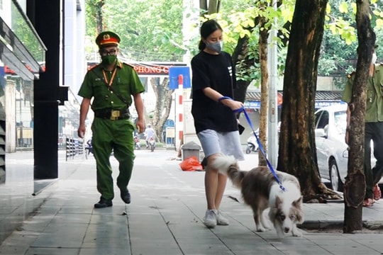 Dắt chó đi dạo khi Hà Hội đang giãn cách, cô gái bị phạt 2 triệu đồng