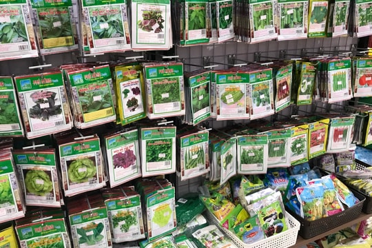 Cửa hàng bán hạt giống rau ăn nên làm ra, phát tài trong mùa dịch