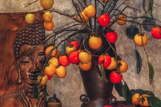 Rước cành hồng quả trên núi về nhà, ngồi chờ chín hái ăn dần