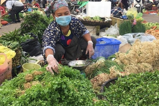 Không chỉ ở Hà Nội, giá rau xanh ở nhiều nơi cũng tăng chóng mặt