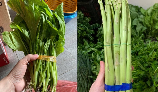 Chỉ 3 ngày không đi chợ, người dân choáng váng với giá rau cải mơ 50.000 đồng/kg