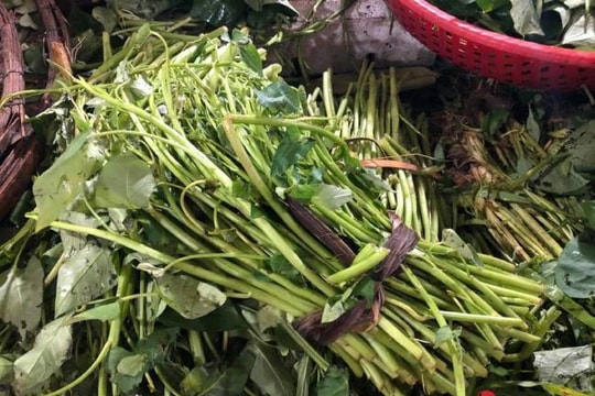 Rau xanh tăng giá cao hơn thịt, khi nào giá rau mới hạ nhiệt?