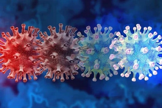 Phát hiện biến thể SARS-CoV-2 mới có chứa tới 32 đột biến